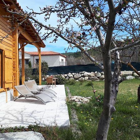 Vila Chalet Mont Canigo Corneilla-de-Conflent Exteriér fotografie