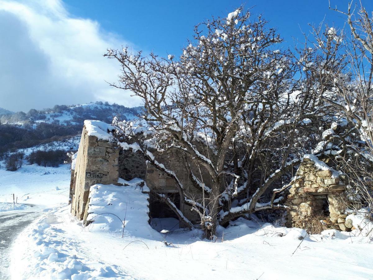Vila Chalet Mont Canigo Corneilla-de-Conflent Exteriér fotografie